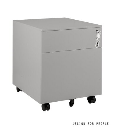 nízky kontajnér XD-041-2 sivý